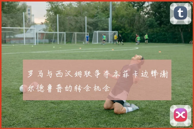 罗马与西汉姆联争夺本菲卡边锋谢尔德鲁普的转会机会